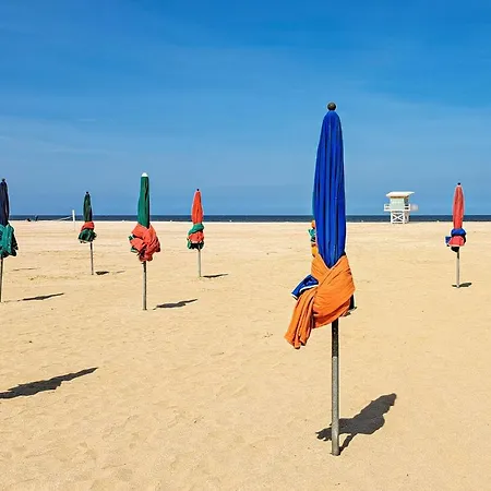 別荘 Lovely In With Wifi